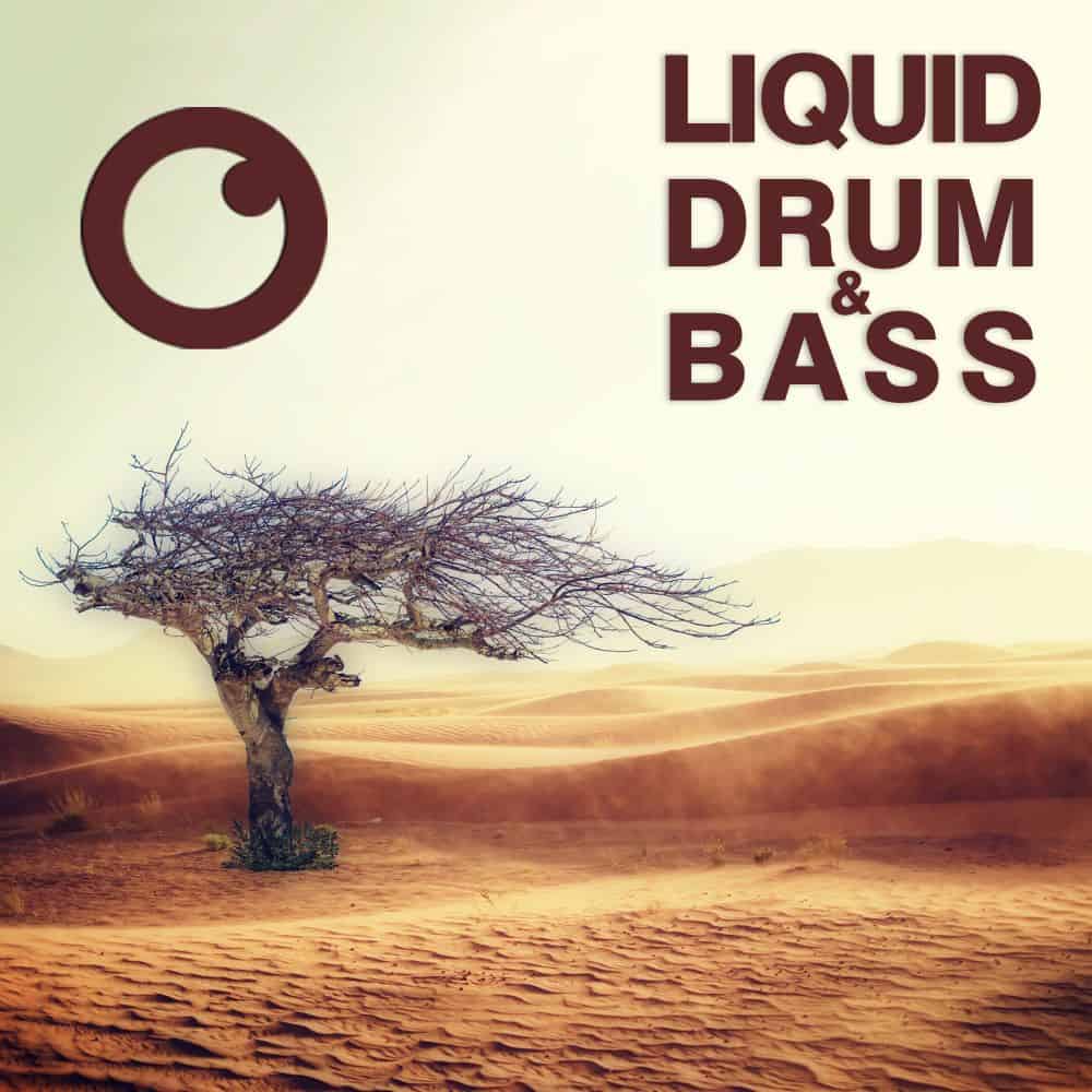 Liquid Drum & Bass Sessions #59 : Fokuz Recordings Label Night – Freenetik / Apple Room February 4th